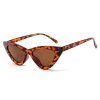 Techsuit - Sunglasses (5040) - for Women, PC Frame and Lens, Triangular - Leopard