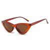 Techsuit - Sunglasses (5040) - for Women, PC Frame and Lens, Triangular - Brown