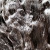 OR Signature Shampoo 2