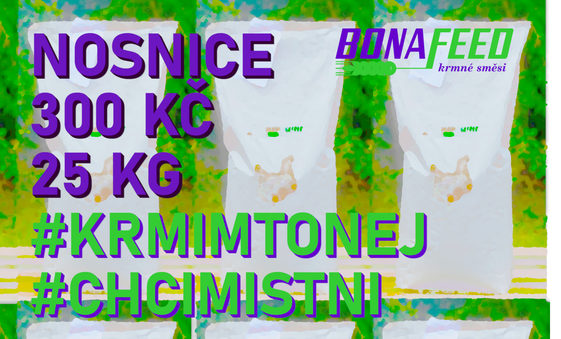 Krmná směs pro nosnice