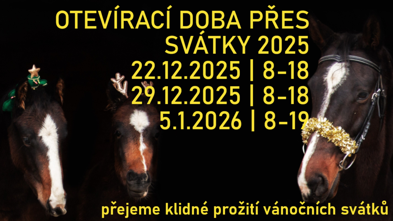 Vánoce s BonaFeed 2025