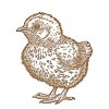 chick