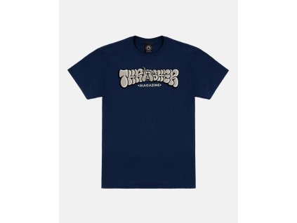 BULLY TSHIRT NAVY 900
