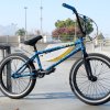 RIPNDIP BMX Psychadelic x Subrosa bike  21"
