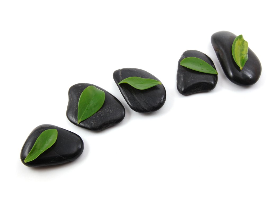 Obraz na plátně "Kameny s listy" 150x80cm