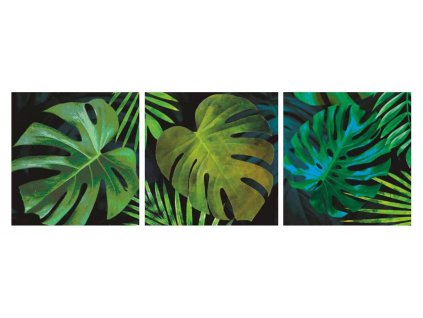 Sada obrazů 3dílná "Zelené listy dark" 90x30cm