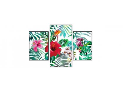 Sada obrazů 3dílná "Květy" 70x50cm
