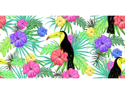 Obraz na plátně "Tukan colors" 100x50cm