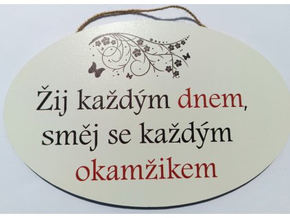Dřevěná dekorace - Žij každým dnem, CZ/SK 28x18 cm