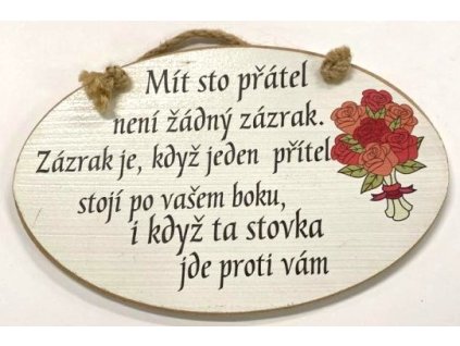 Dřevěná dekorace "Mít sto přátel není žádný zázrak..."  23x14cm