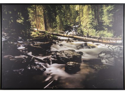 Obraz "Voda v lese" - tisk na plátno vložené do MDF, 84x59cm