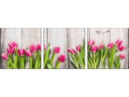 Sada obrazů 3dilná "Tulipány pink" 90x30cm