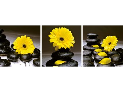 Sada obrazů "Květ yellow" - 90x30cm