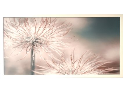 Obraz v rámu "Flora" 100x50cm