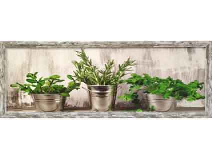 Obraz zarámovaný "Bylinky" 90x30cm
