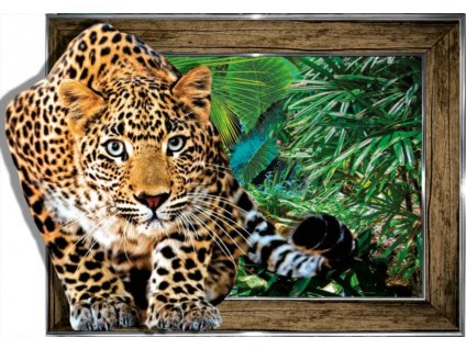 obraz 3D 30x40 levhart