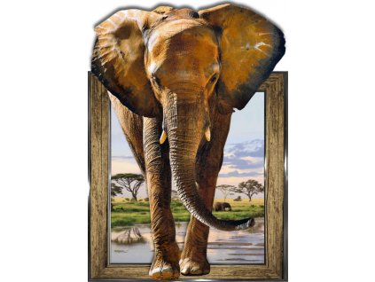 obraz 3D 30x40 slon
