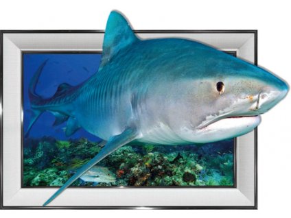 obraz 3D 30x40 žralok