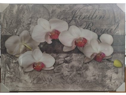 Putframe 70100 orchidej