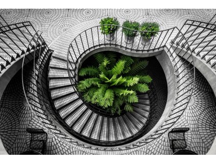 Obraz na plátně černobílý "Schodiště black & green" 116x80cm