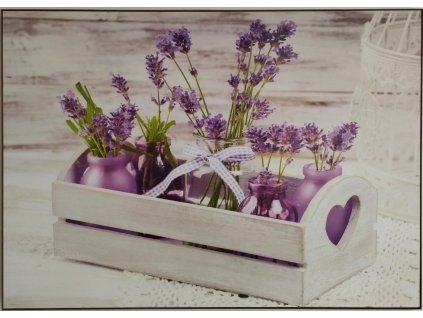 Obraz na desce "Zátiší s levandulí" 70x50cm