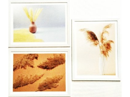 Sada obrazů 3dílná "Grass-pink" 90x40cm