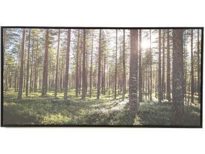 Obraz "V lese" - tisk na plátno vložené do MDF rámu, 102x51cm