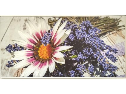 Obraz "Gazánie s levandulí" - tisk na plátno vložené do MDF rámu, 102x51cm