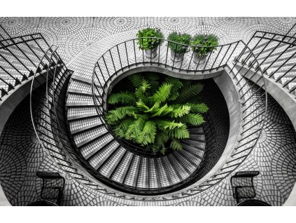 Obraz na plátně "Schodiště black & green" 110x70cm