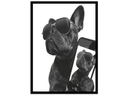 Obraz černobílý "Buldoček" 24x30cm