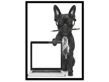 Obraz černobílý "Buldoček a PC" 24x30cm