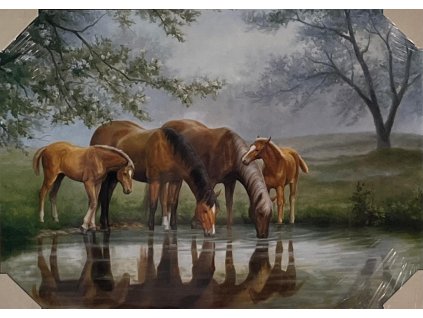 Obraz "Koně" - tisk na papír na MDF desku, 70 x 50cm