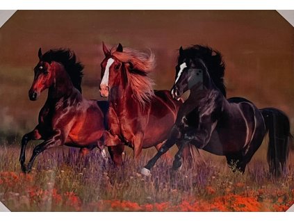 Obraz "Koně na louce" - tisk na papír na MDF desku, 70 x 50cm