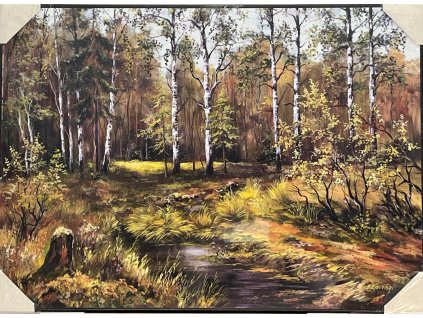 Obraz "Březový háj" - tisk na papír na MDF desku, 70x50cm