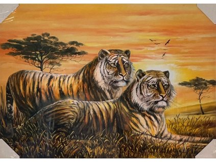 Obraz "Tygři" - tisk na papír na MDF desku, 70 x 50cm