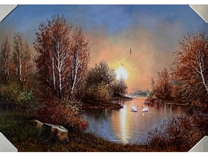 Obraz "Labutě na jezeře" - tisk na papír na MDF desku, 70 x 50cm
