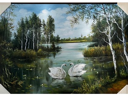 Obraz "Labutě" - tisk na papír na MDF desku, 70 x 50cm