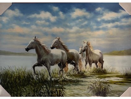 Obraz "Koně" - tisk na papír na MDF desku, 70 x 50cm