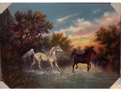 Obraz "Koně" - tisk na papír na MDF desku, 70 x 50cm