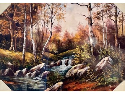Obraz "Březový háj" - tisk na papír, 70x50cm