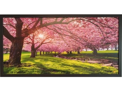 Obraz v rámu "Růžová alej" 100x50cm