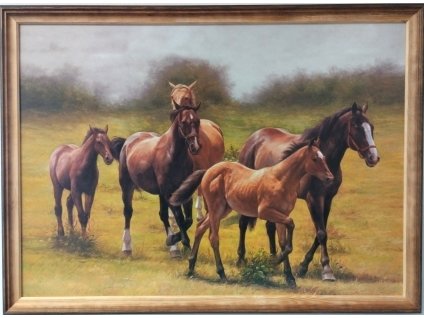 Obraz "Koně - v dřevěném frézovaném rámu, 70x50cm