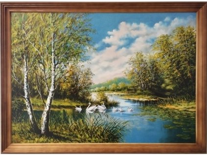 Klasik 70x50cm labutě