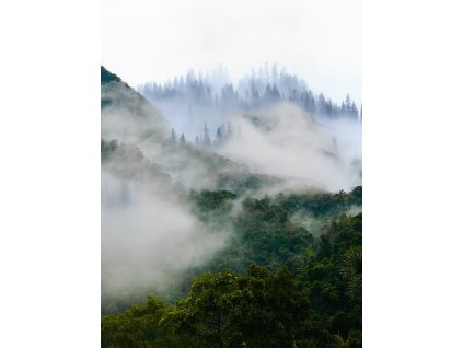 Obraz na plátně "Hory v mlze" 60x80cm