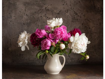 Obraz na plátně "Kytice pivoněk" 80x60cm