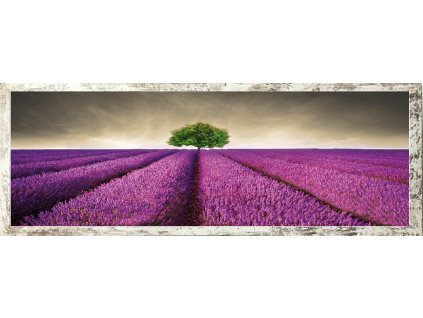 Obraz na desce v rámu "Provance" 90x30cm