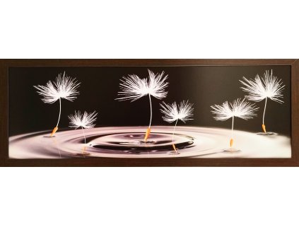 Obraz na desce v rámu černobílý "Pampeliška" 90x30cm