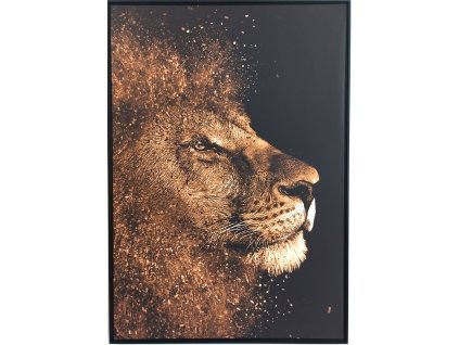 Obraz černozlatý "Hlava lva" - tisk na plátno vložené do MDF rámu, 59x84cm