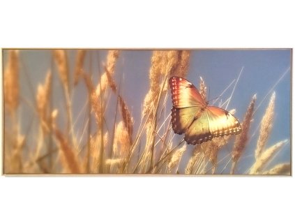 Obraz na plátně v rámu "Butterfly gold" 134x59cm