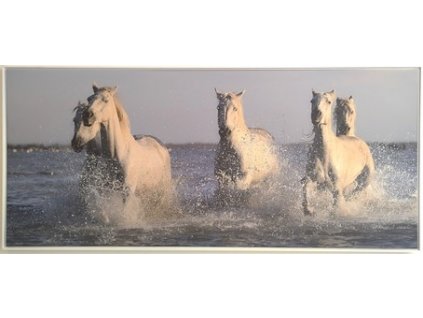 Obraz na plátně v rámu "Koně běžící v moři" 134x59cm